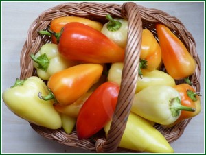 paprika1